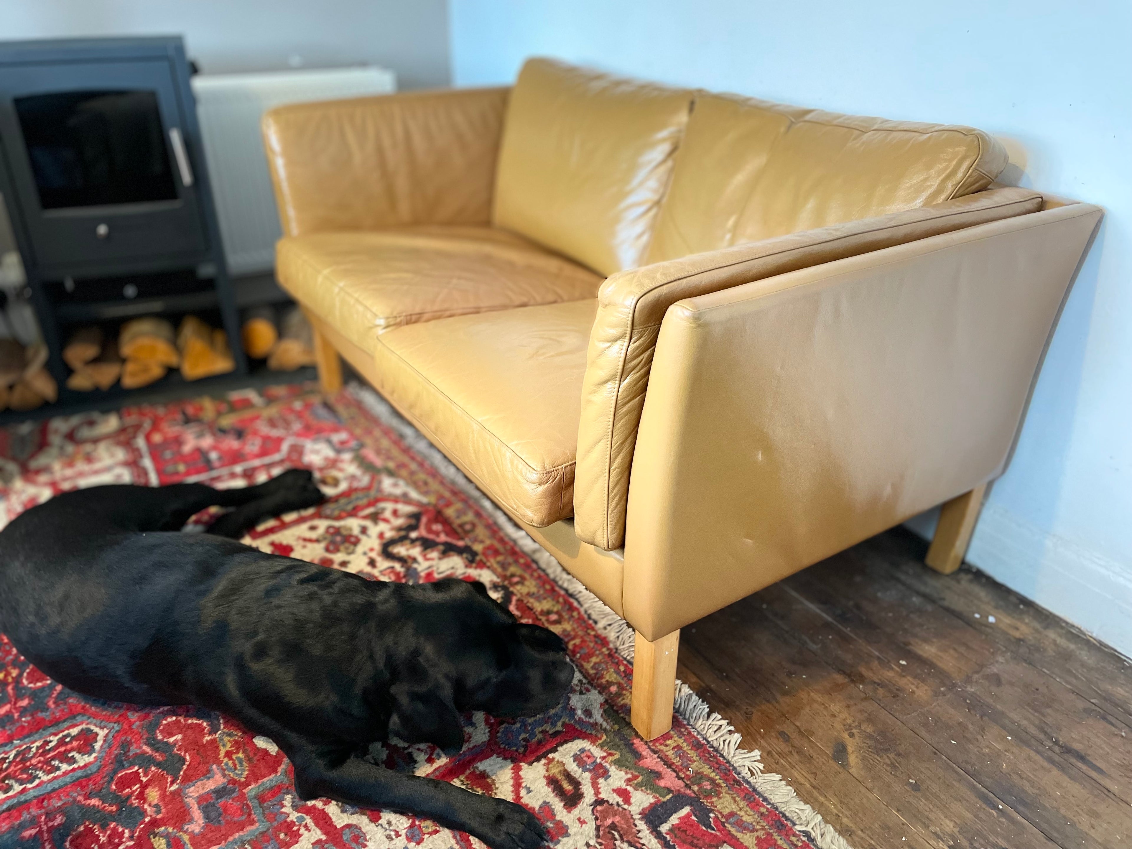 Tan Danish sofa with dog by log burner