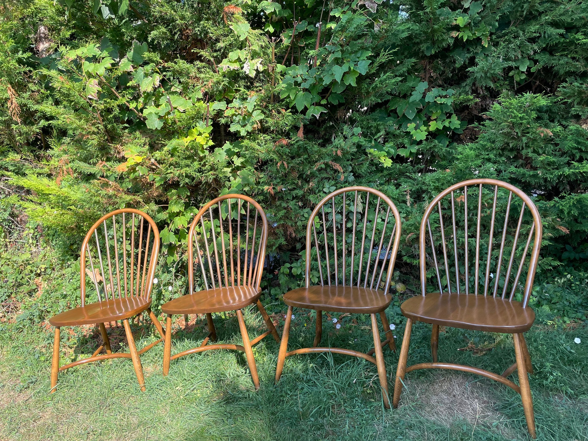 Vintage Ercol Latimer Steam Bent Chairs Model 909 (C.1970) Set Of Four Rare