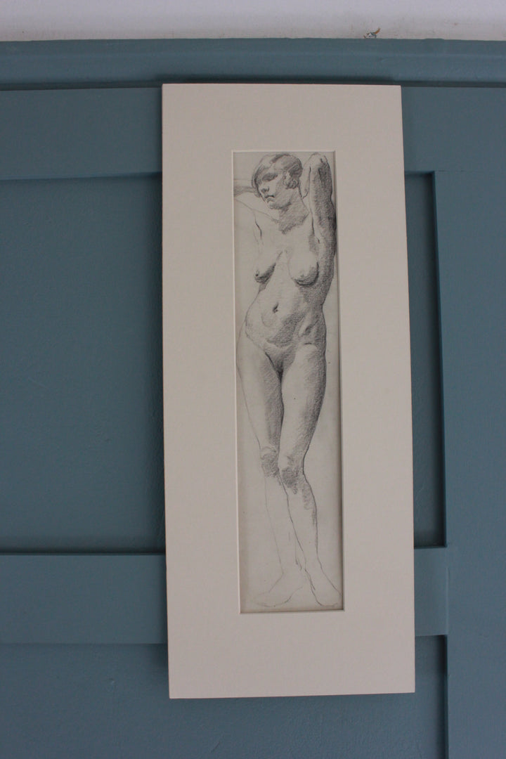 Voluptuous female nude pencil sketch on paper