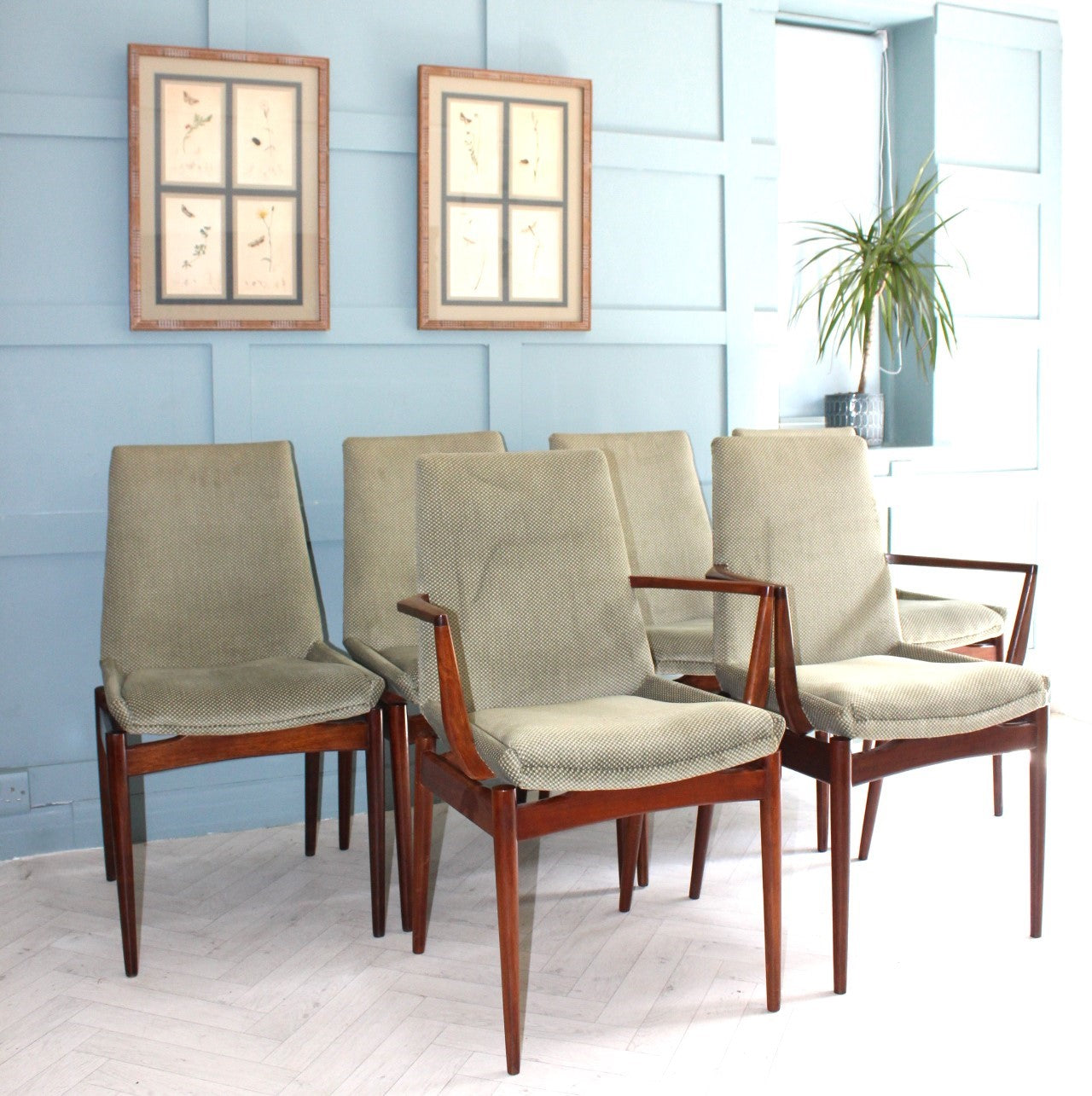 Mid Century Hamilton Dining Chairs By Robert Heritage