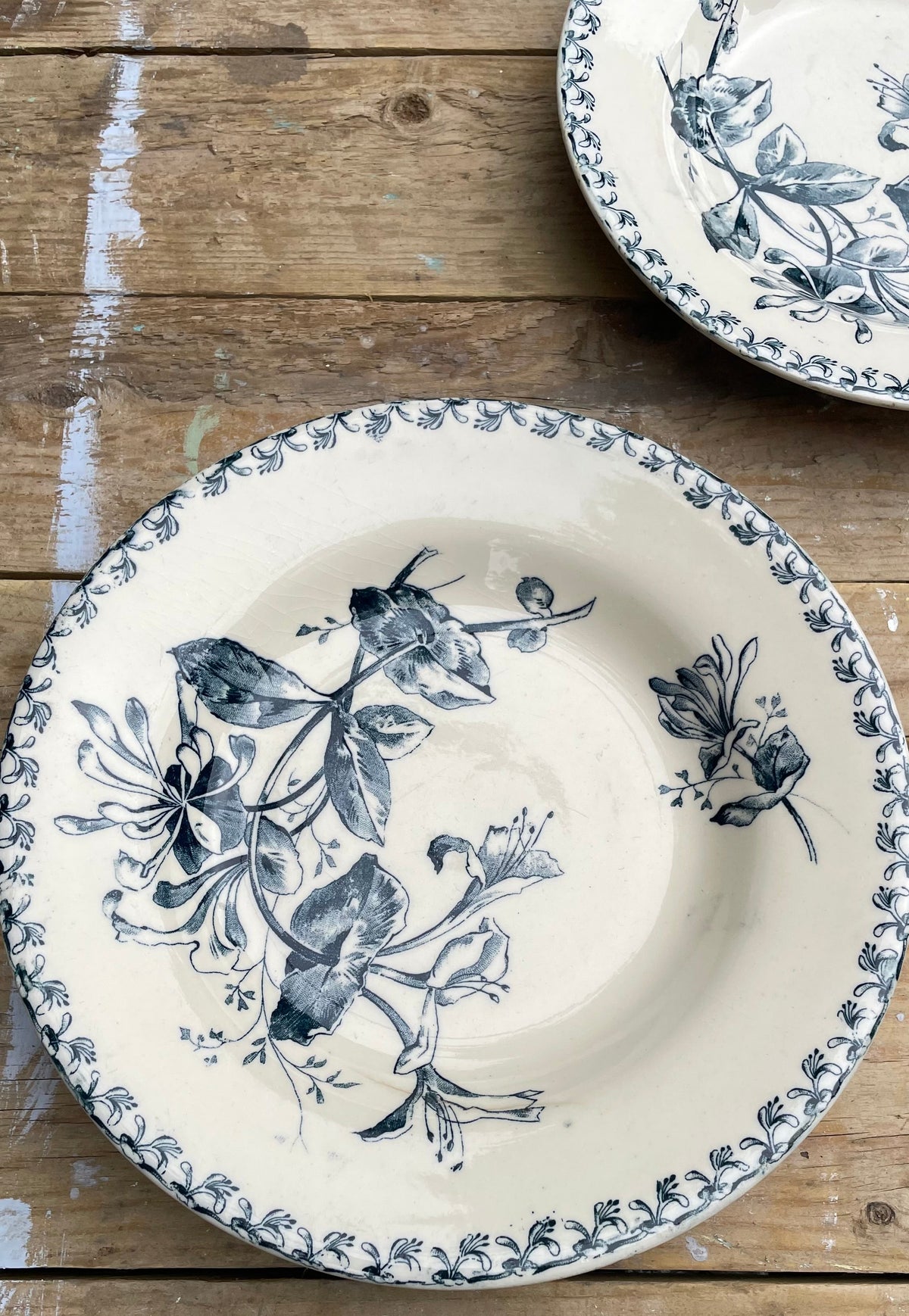 Antique French Honeysuckle pattern soup bowls 