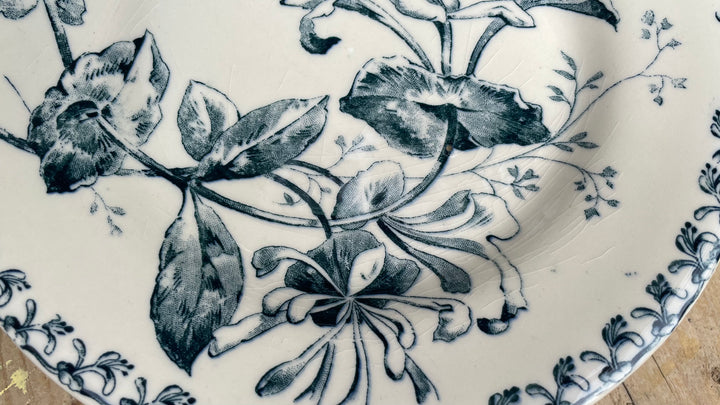 Close-up of a white ceramic plate featuring a dark blue floral and botanical pattern, with a matching patterned rim visible on the right side.