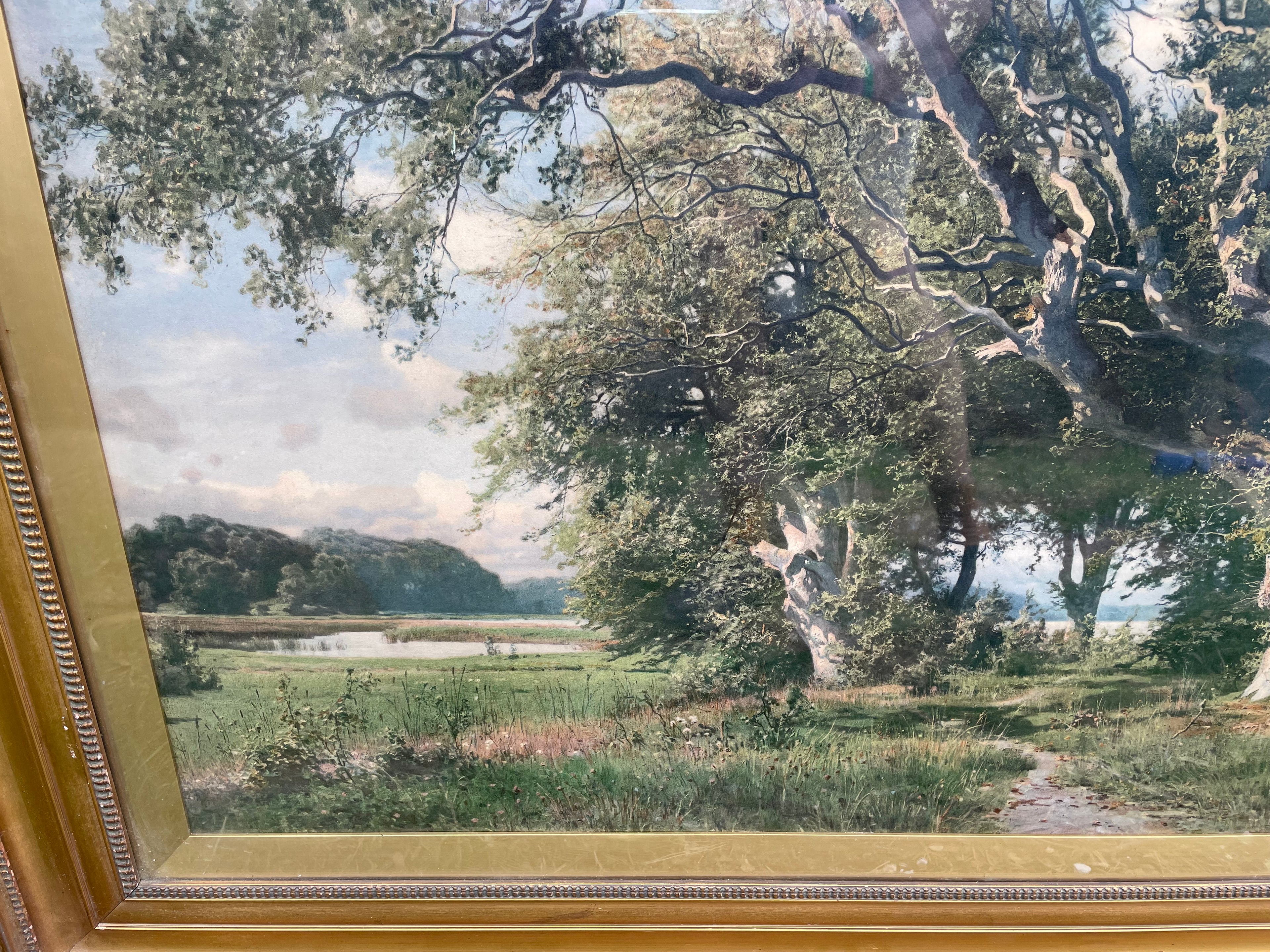 : Detailed view of sunlight falling across trees and foliage in the antique woodland print