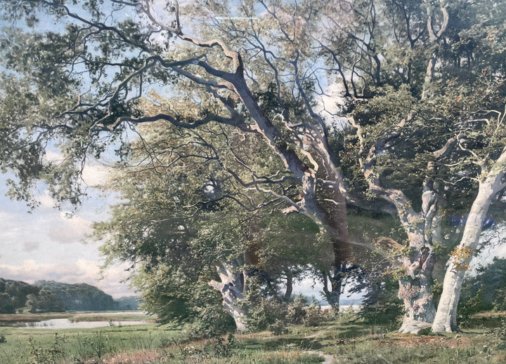 OleographSurfaceandColourDetail
