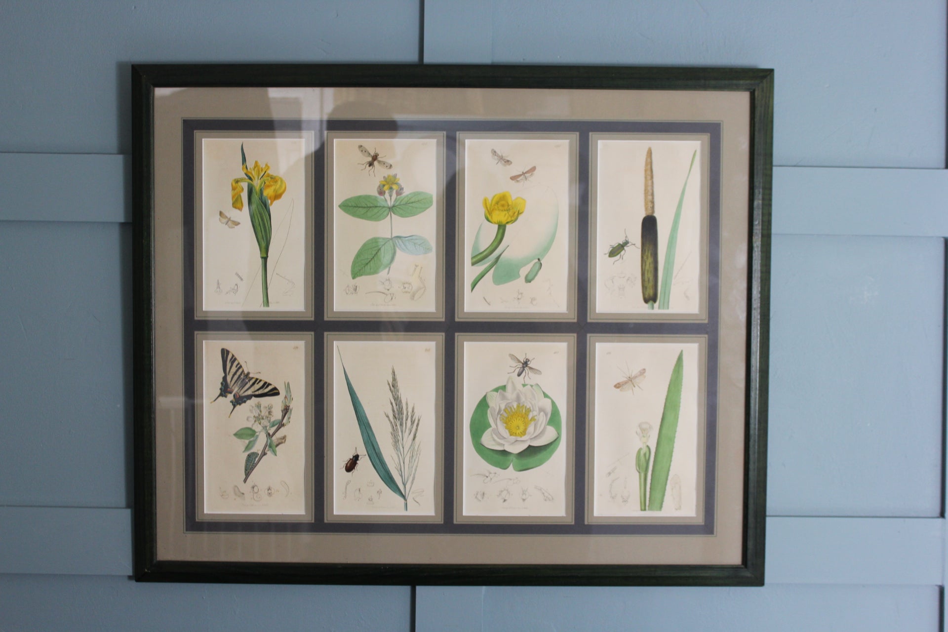 Victorian-era botanical engraving with nature-inspired floral and insect motifs