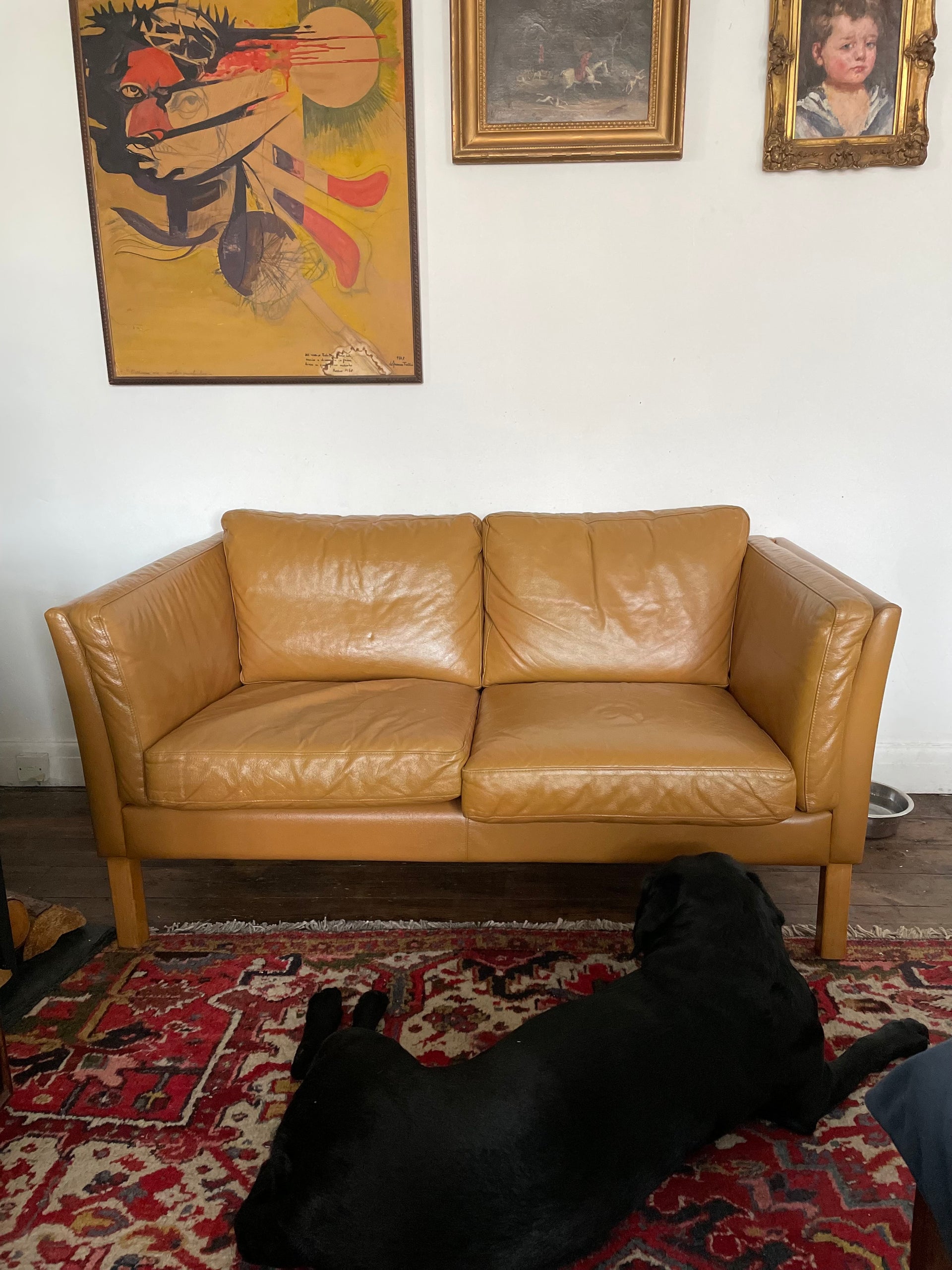 Vintage Danish Sofa in room setting and black Labrador Lilly