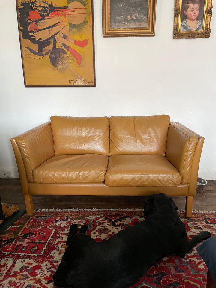 Vintage Danish Sofa in room setting and black Labrador Lilly