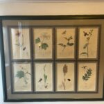 Set of 4 19th Century Botanicals With Insects