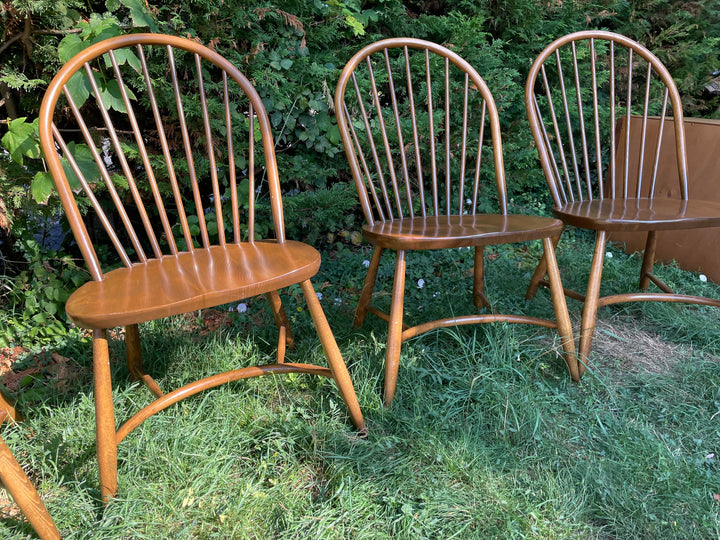 four vintage Four ercol Crynoline Stretcher Chairs in a garden setting