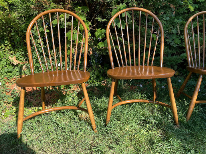 mid century ercol Crynoline Stretcher Chairs